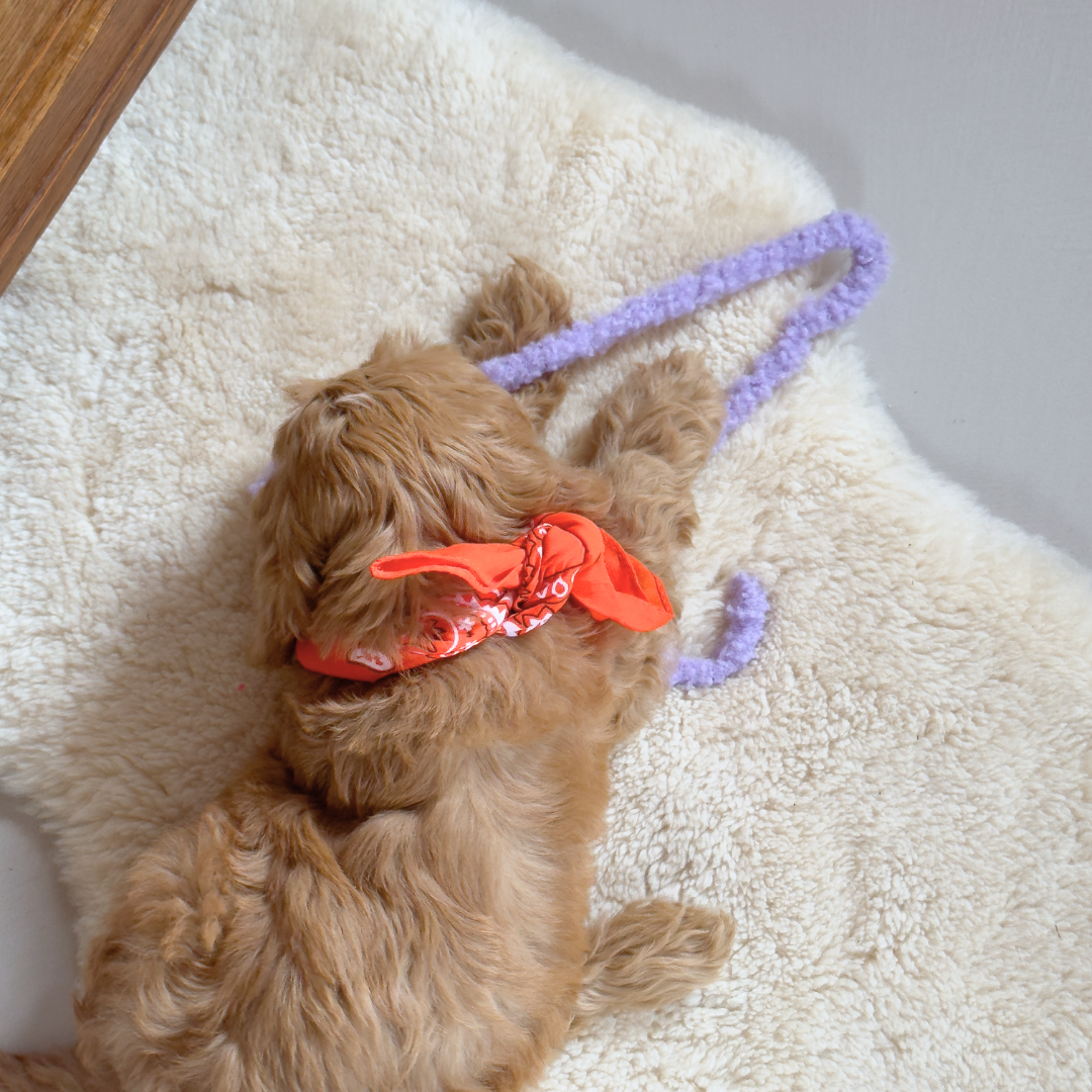Een bandana scarf in het oranje