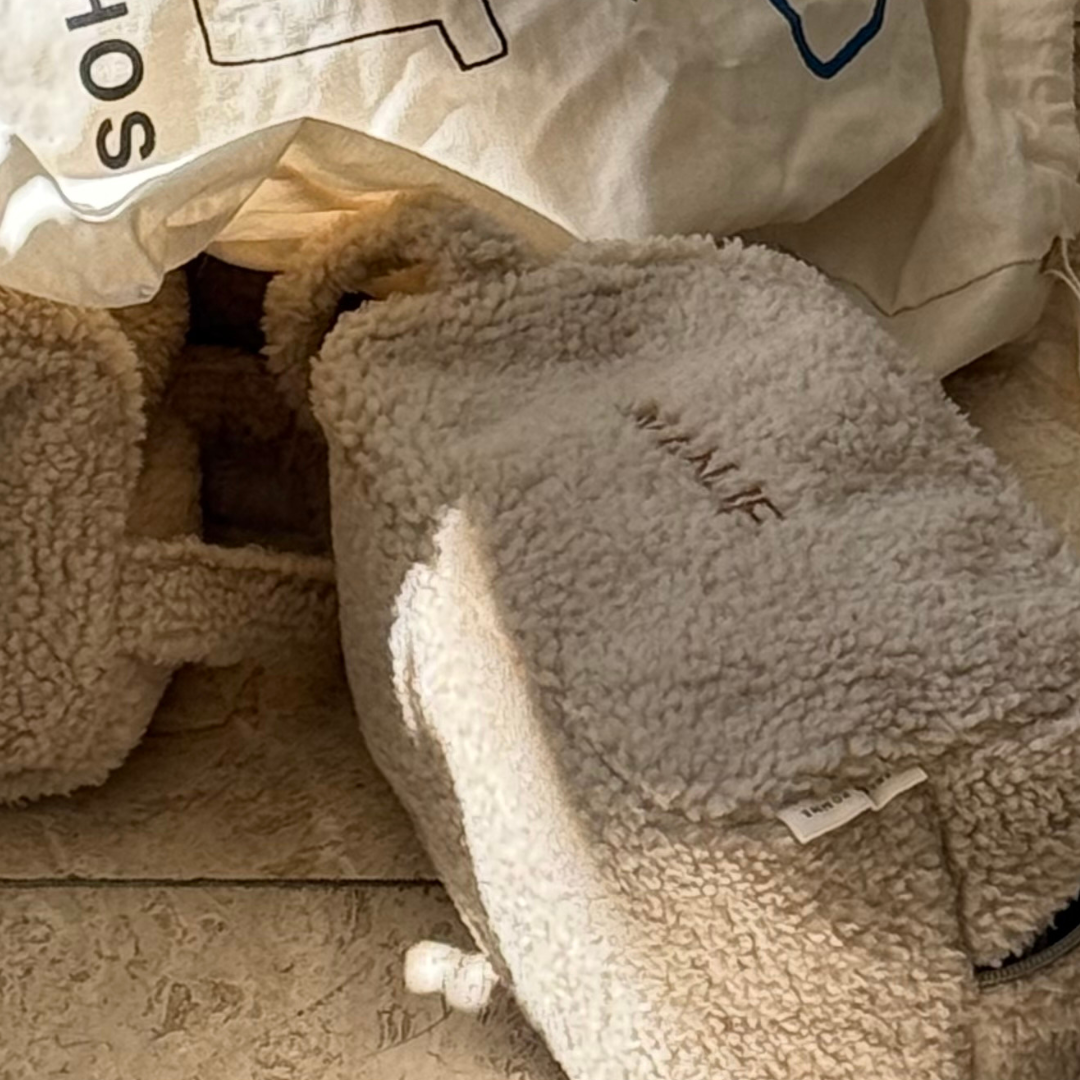 Teddy toilettas