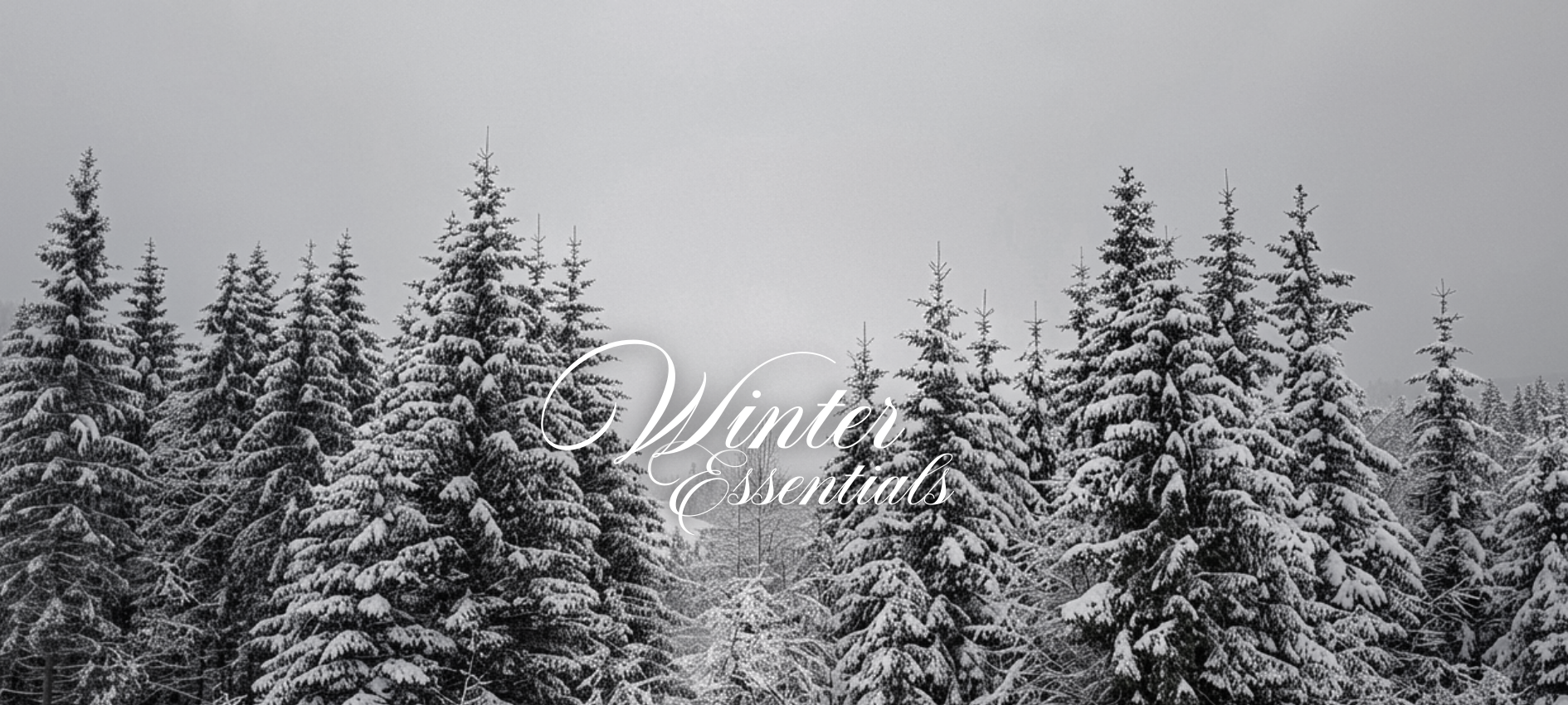 WINTER ESSENTIALS