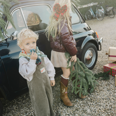 PACIFIER CLOTH POMME | PETIT TARTAN BLEU