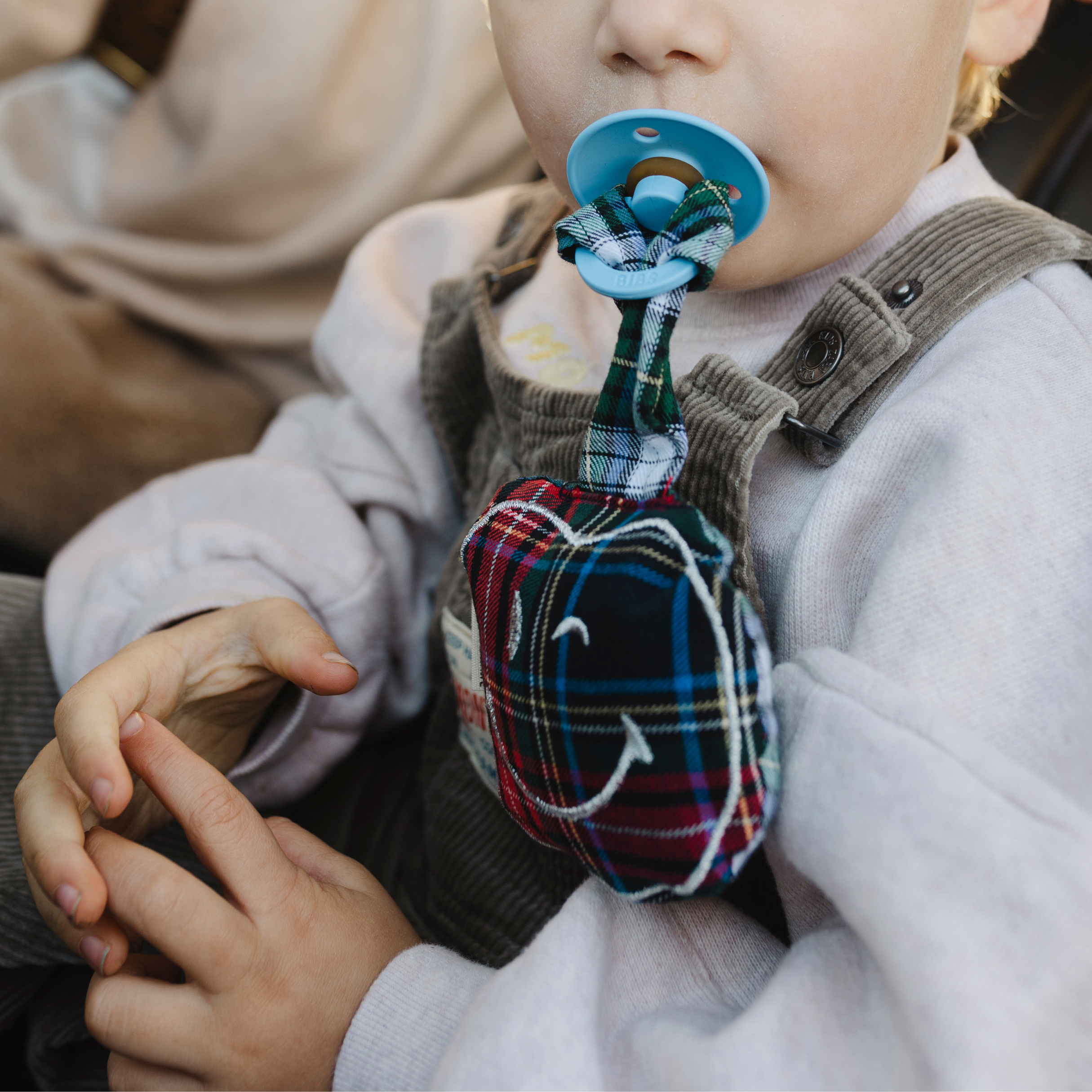 PACIFIER CLOTH POMME | PETIT TARTAN BLEU