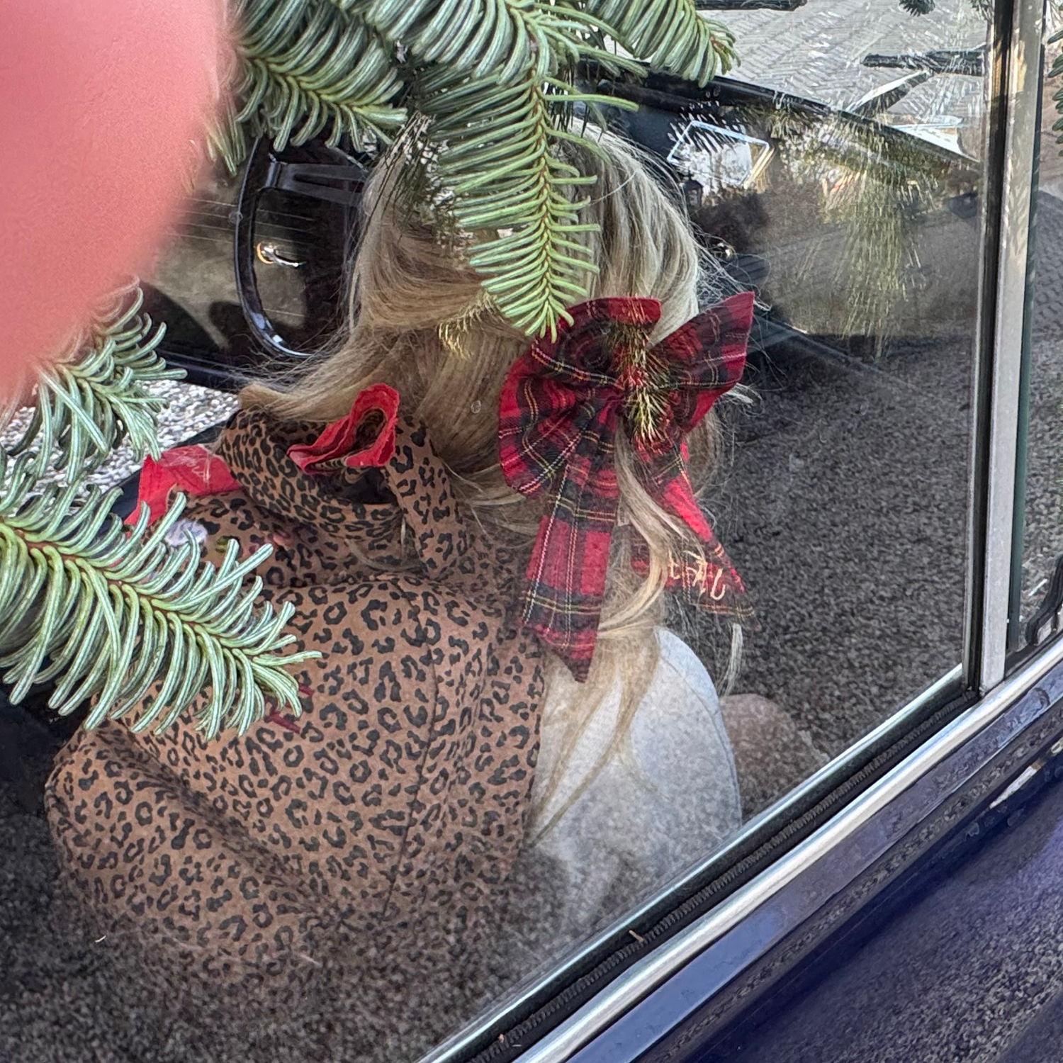 BACKPACK LEOPARD | ÉDITION DE NOËL