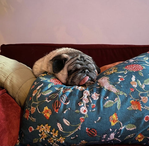 CUSHION | CHAOS