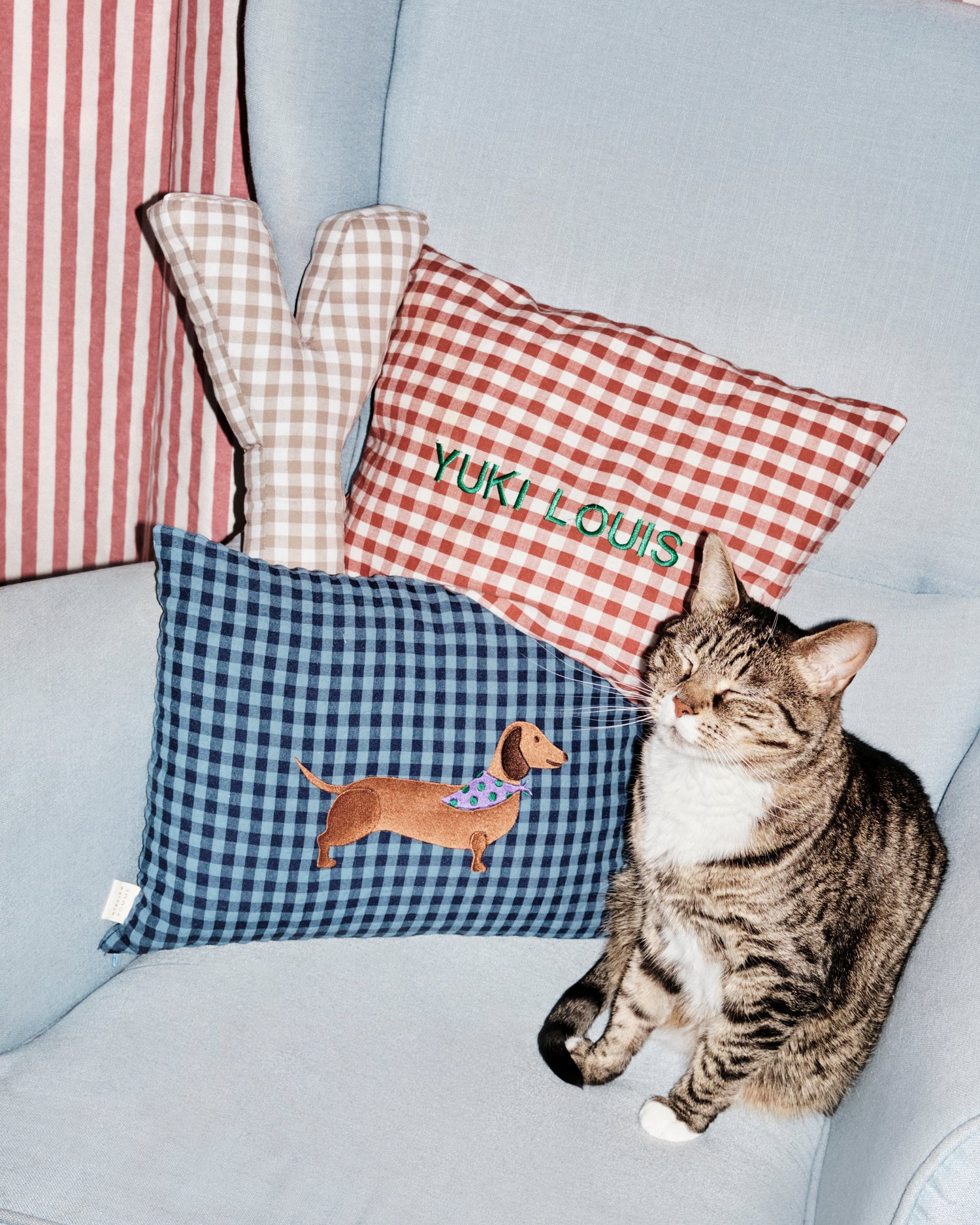 CUSHION CHECKED | MISTER MARINE