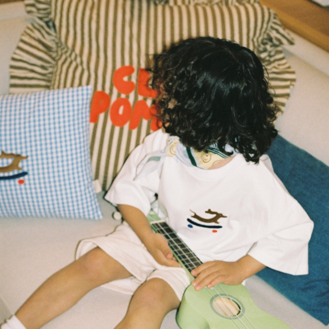 Cushion checked | Baby Blue