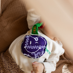 PACIFIER CLOTH POMME | BANDANA PURPLE RAIN