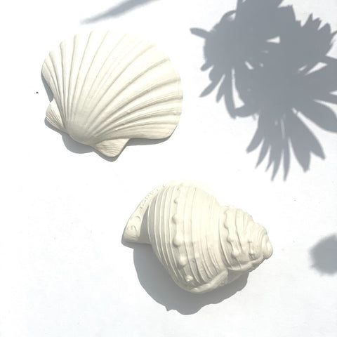 TEETHING TOY | SHELL ROUND