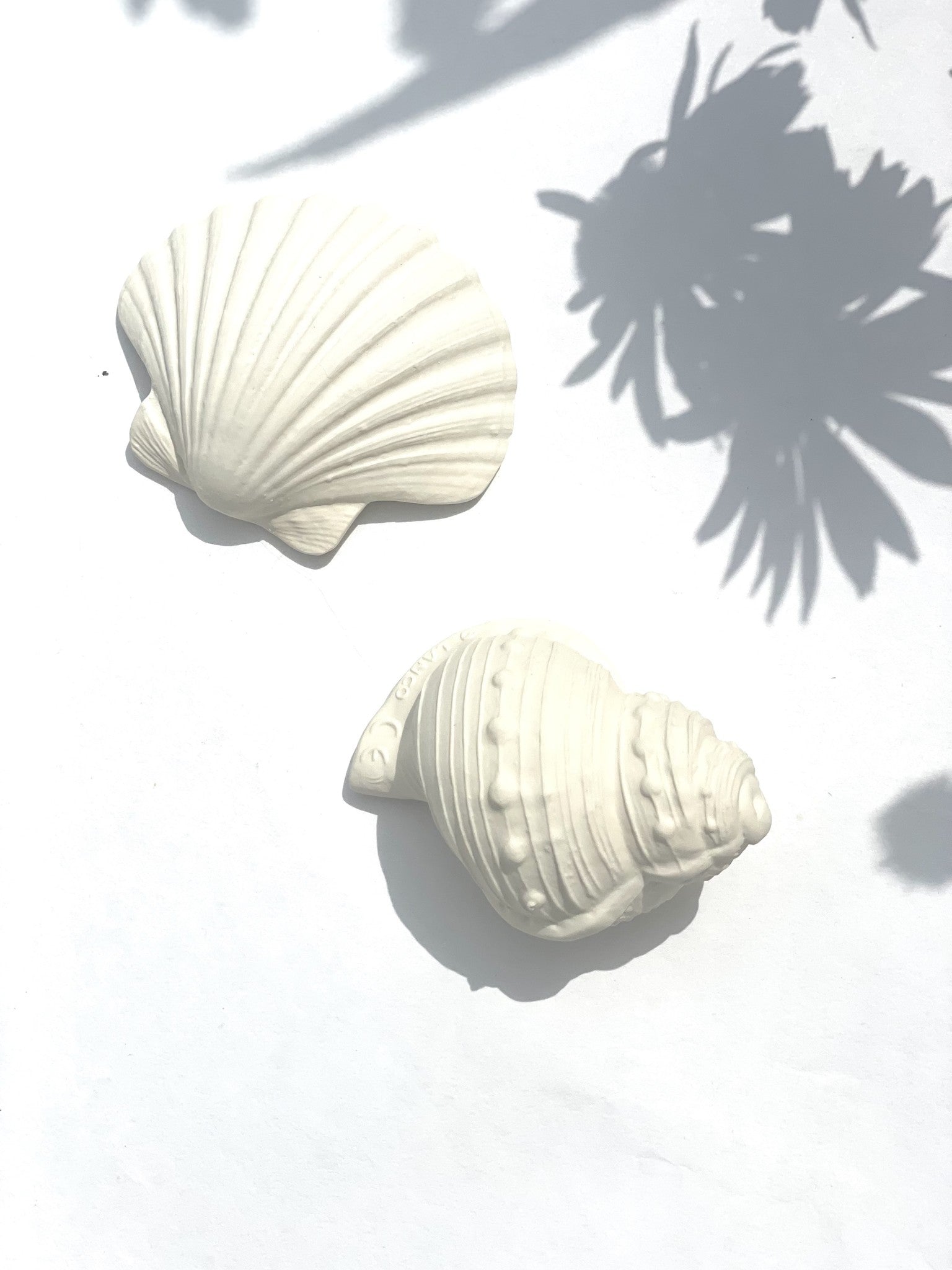TEETHING TOY | SHELL