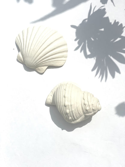 TEETHING TOY | SHELL