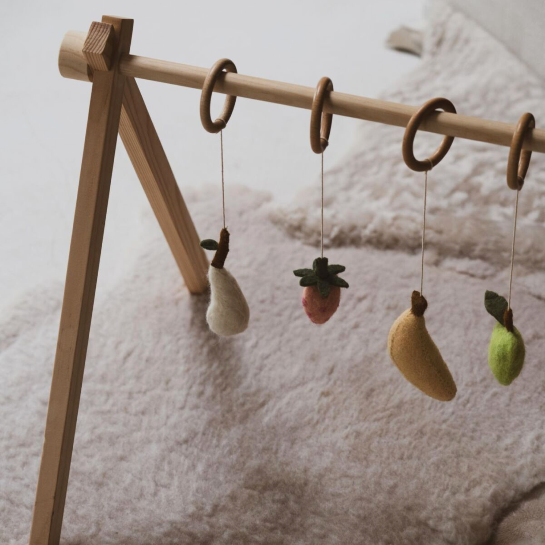 ACTIVITY ARCH | FRUIT