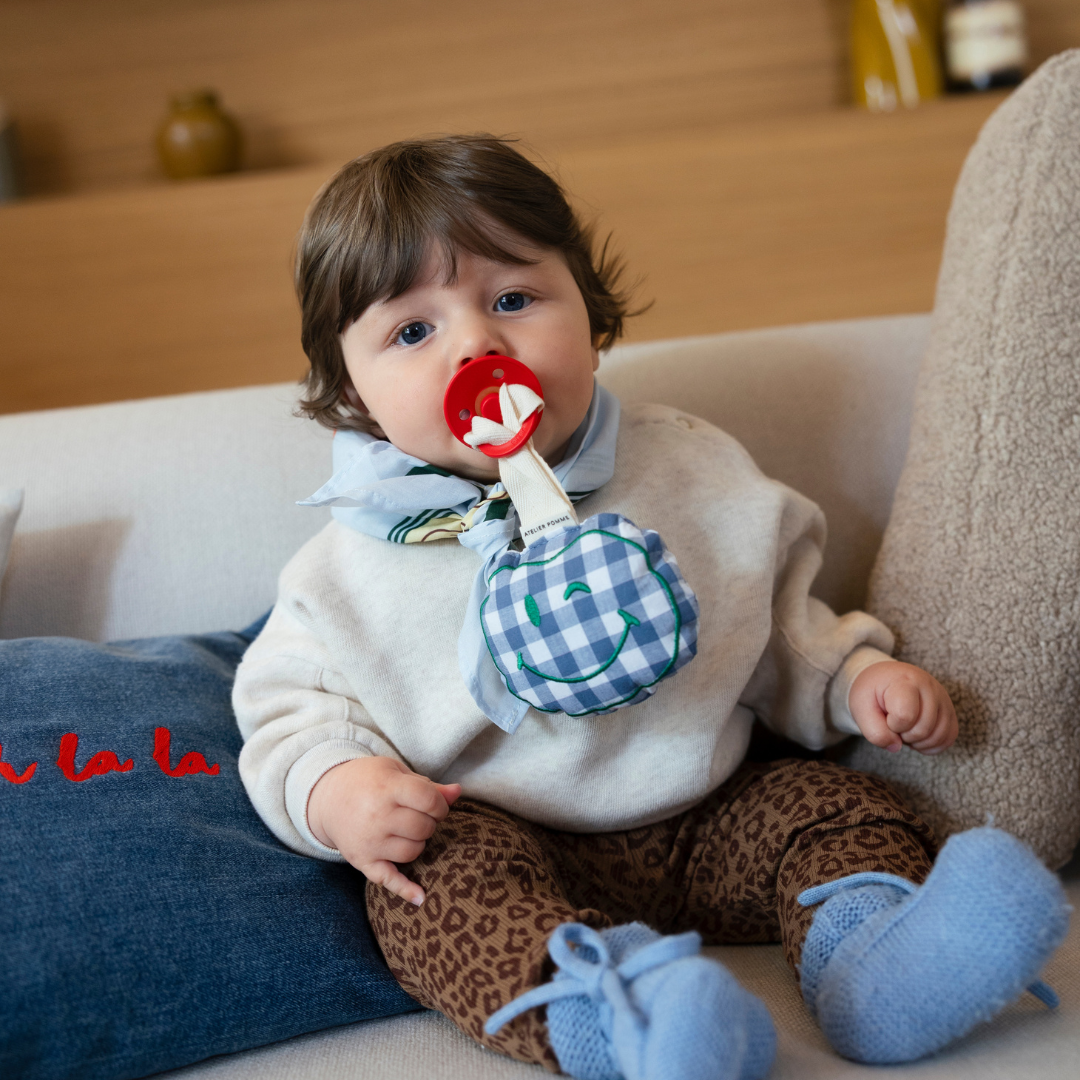 Pacifier cloth Pomme | Checked misty blue