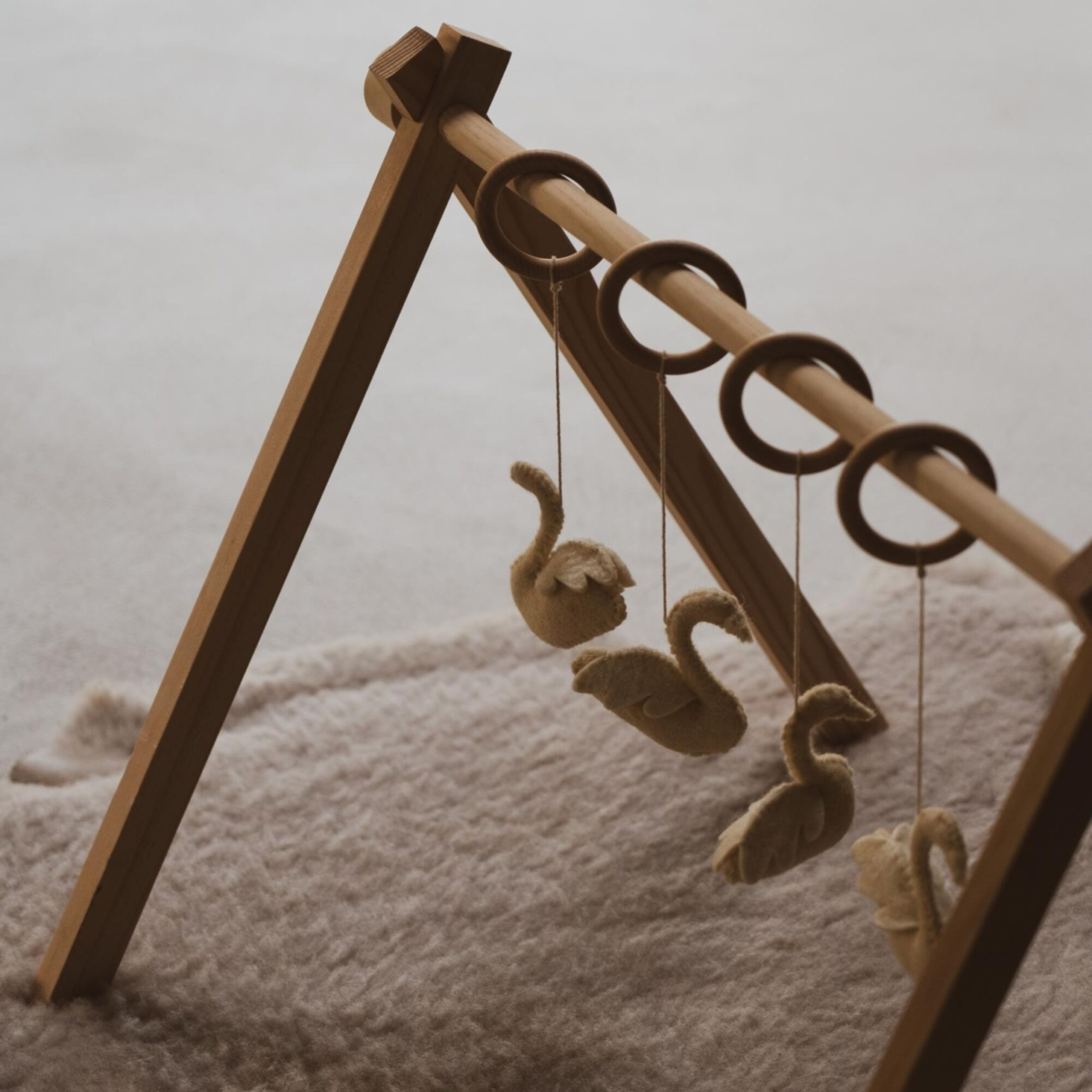 ACTIVITY ARCH | SWANS