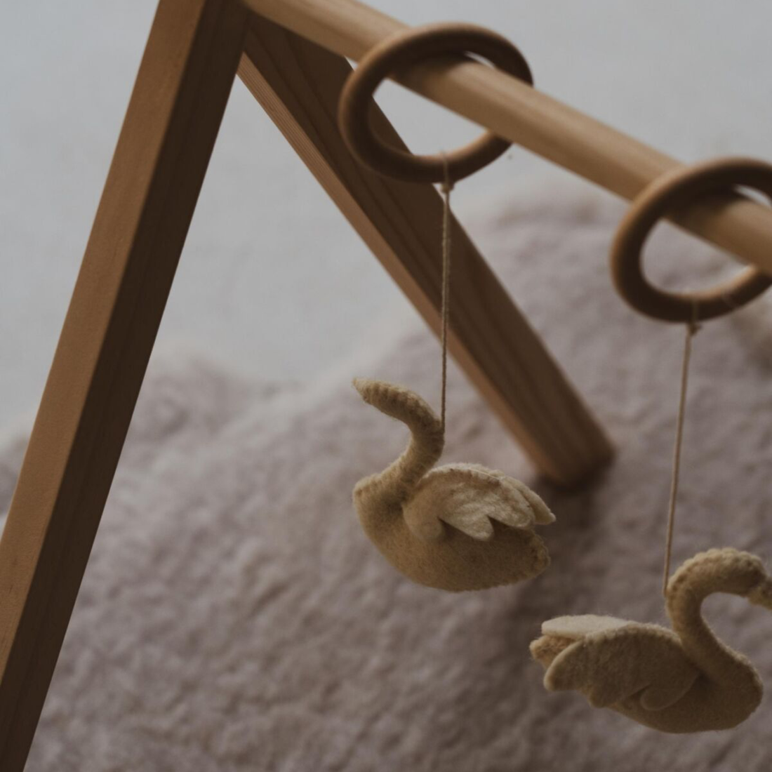 ACTIVITY ARCH | SWANS